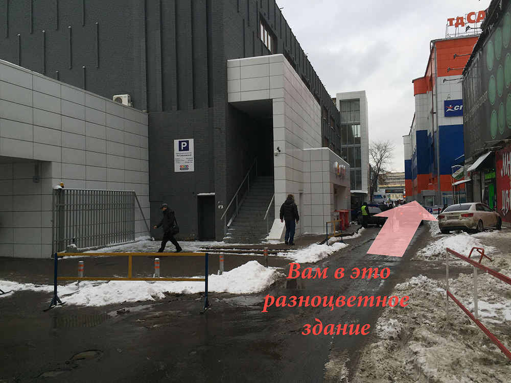 контакты