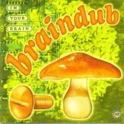 Braindub In Your Brain Фирменный CD Braindub In Your Brain Фирменный CD