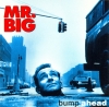 BUMP AHEAD