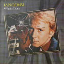 IAN GOMM WHAT A BLOW Виниловая пластинка 