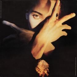 TERENCE TRENT D'ARBY Terence Trent D'Arby's Neither Fish Nor Flesh (A Soundtrack Of Love, Faith, Hope & Destruction) Виниловая пластинка 