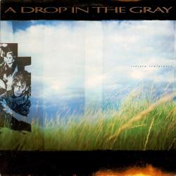A DROP IN THE GRAY CERTAIN SCULPTURES Виниловая пластинка 