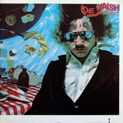 JOE WALSH "But Seriously, Folks..." Виниловая пластинка 