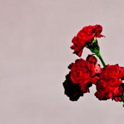 JOHN LEGEND Love In The Future Фирменный CD 