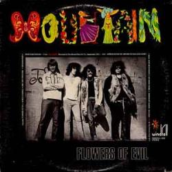 MOUNTAIN FLOWERS OF EVIL Виниловая пластинка 