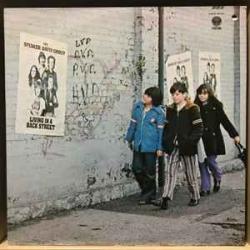 SPENCER DAVIS GROUP LIVING IN A BACK STREET Виниловая пластинка 