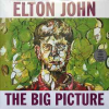 The Big Picture