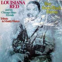 LOUISIANA RED BOY FROM BLACK BAYOU Виниловая пластинка 
