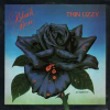 BLACK ROSE