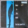 BLUES IN THE CLOSET
