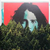CHRIS CORNELL