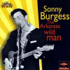 THE ARKANSAS WILD MAN
