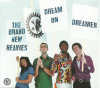 Dream On Dreamer