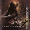 The Soul That Never Dies