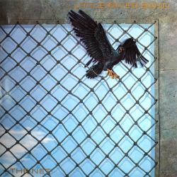 LITTLE RIVER BAND THE NET Виниловая пластинка 