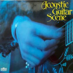 VARIOUS ACOUSTIC GUITAR SCENE Виниловая пластинка 