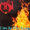 FIRE IN THE RAIN FIRE IN THE RAIN